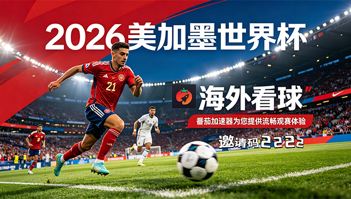 在国外登录不了国内政府小程序教程