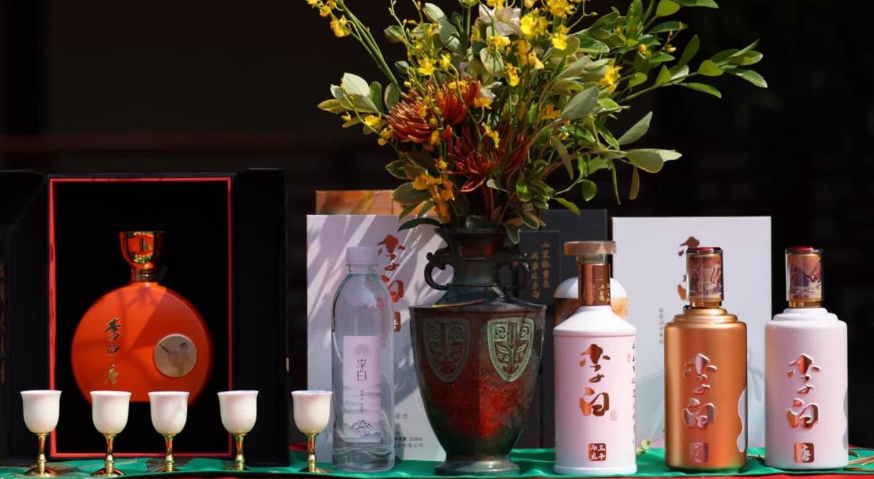 国外怎么看国内的电视剧网站教程
